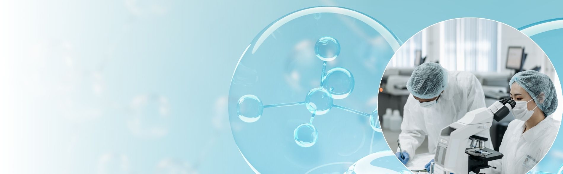 Phylogenetic analysis in bioinformatics